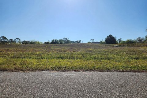 Land in Rotonda, Florida № 2160782 - photo 3