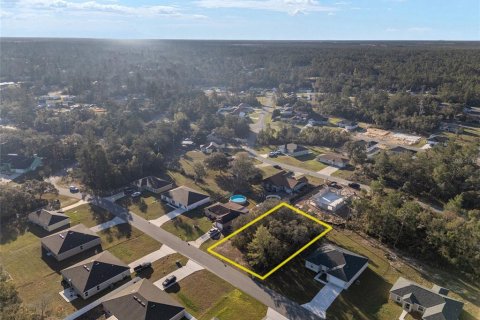Land in Ocala, Florida № 1821408 - photo 1