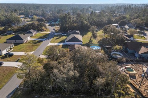 Land in Ocala, Florida № 1821408 - photo 8