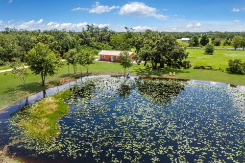 Villa ou maison à vendre à Myakka City, Floride: 4 chambres, 358.79 m2 № 1826633 - photo 27