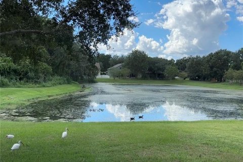 House in Temple Terrace, Florida 4 bedrooms, 178.56 sq.m. № 2199977 - photo 24