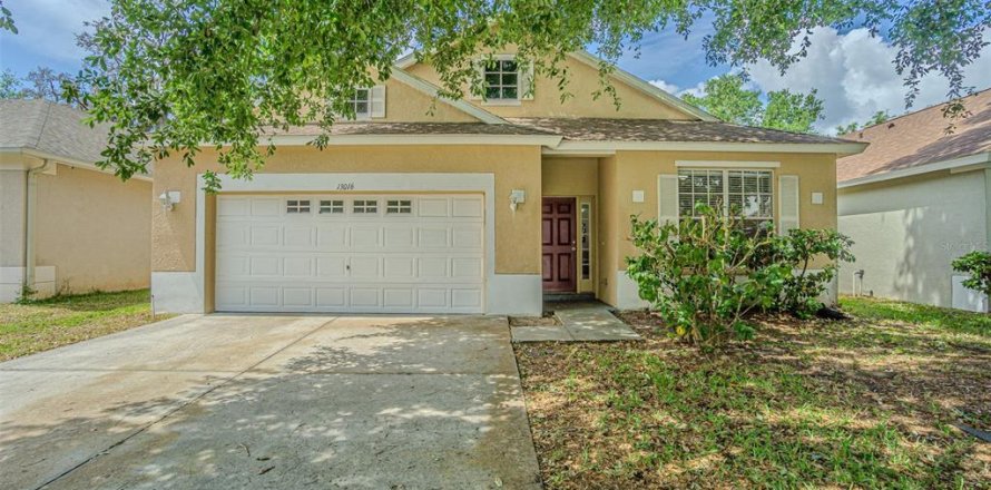 House in Temple Terrace, Florida 4 bedrooms, 178.56 sq.m. № 2199977