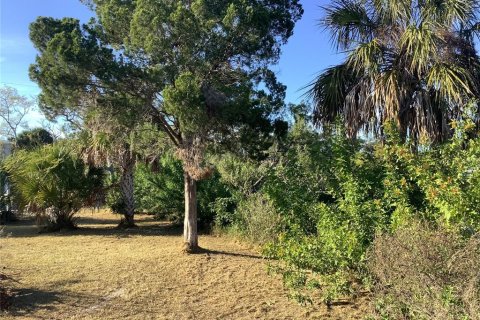 Land in Hudson, Florida № 2103983 - photo 12