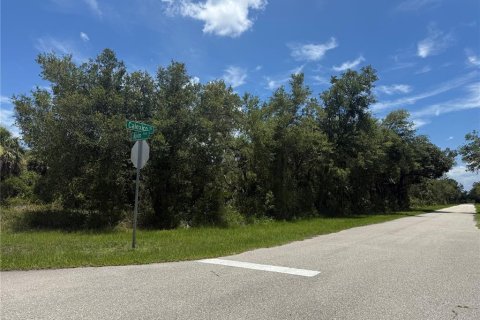 Land in Port Charlotte, Florida № 1793327 - photo 3