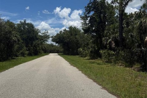 Land in Port Charlotte, Florida № 1793327 - photo 2