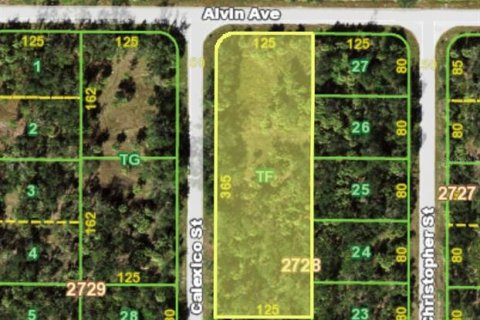 Land in Port Charlotte, Florida № 1793327 - photo 1