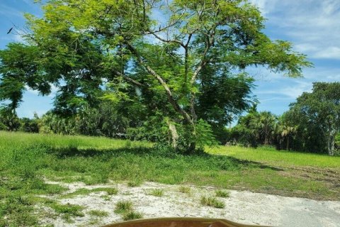 Terreno en venta en Deerfield Beach, Florida № 1076757 - foto 1
