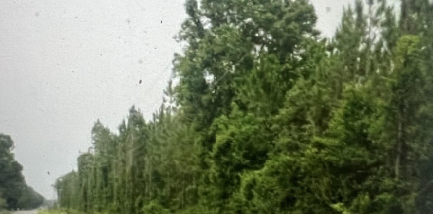 Terreno en Macclenny, Florida № 841044