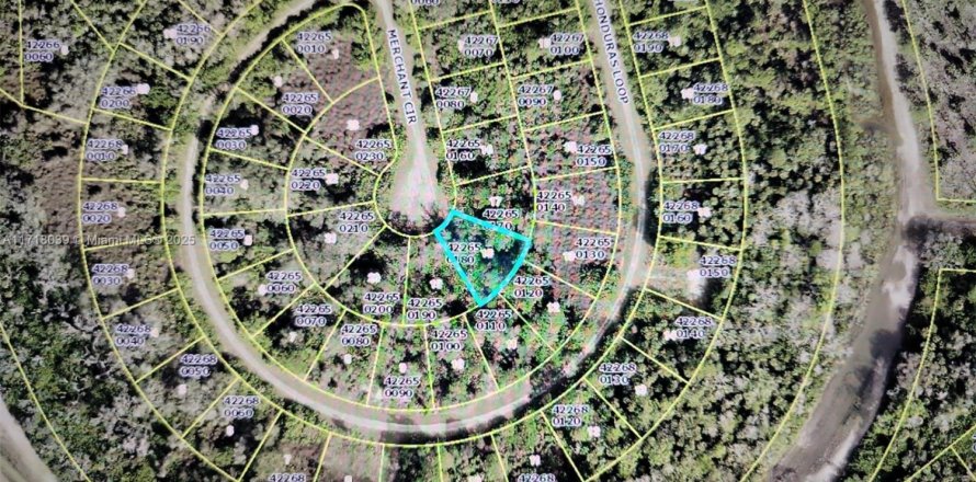 Land in Lehigh Acres, Florida № 1865279