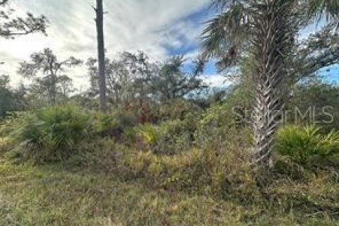 Terrain à Port Charlotte, Floride № 2160653