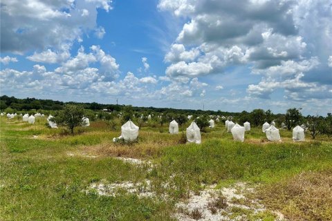Terreno en venta en Avon Park, Florida № 1840538 - foto 8