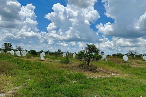 Terreno en venta en Avon Park, Florida № 1840538 - foto 3