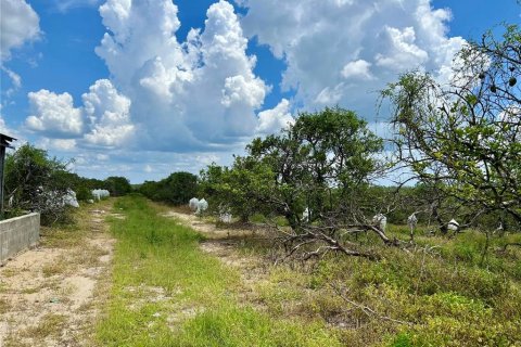 Terreno en venta en Avon Park, Florida № 1840538 - foto 6