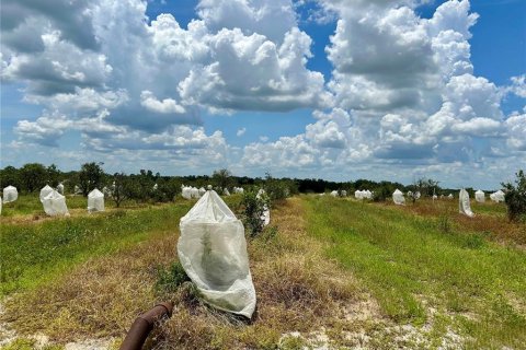 Terreno en venta en Avon Park, Florida № 1840538 - foto 7