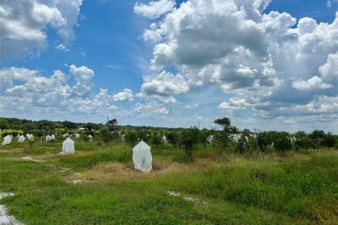Terreno en venta en Avon Park, Florida № 1840538 - foto 4