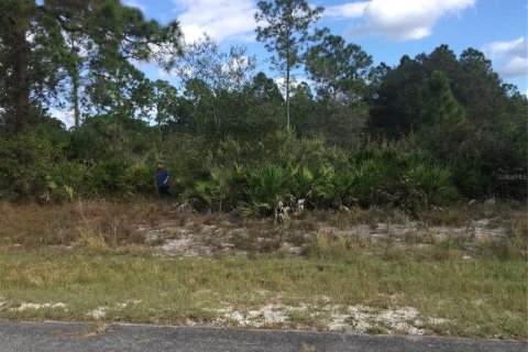 Land in Lehigh Acres, Florida № 2161272
