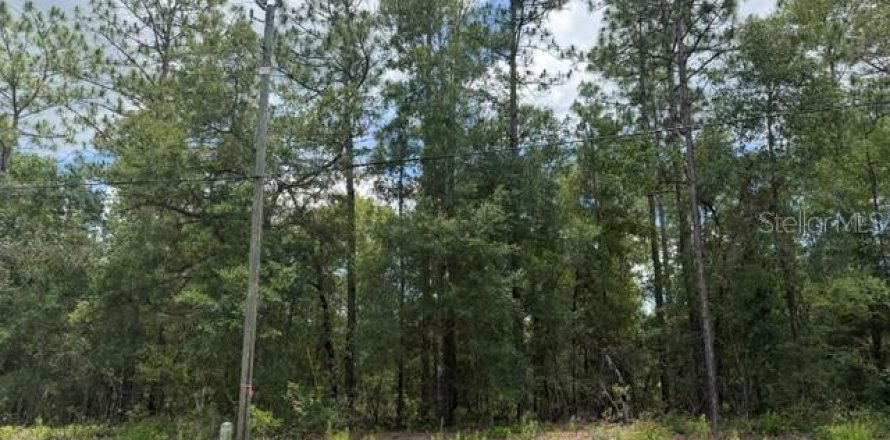 Terrain à Dunnellon, Floride № 2196734