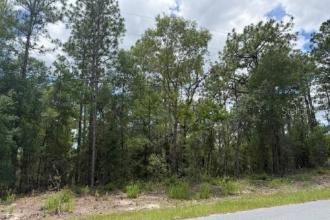 Terrain à vendre à Dunnellon, Floride № 2196734 - photo 3