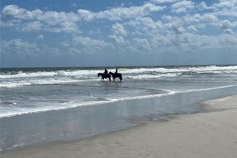 Land in Palm Coast, Florida № 919110 - photo 10