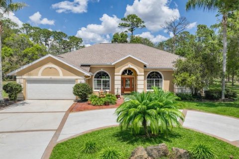House in Palm Coast, Florida 3 bedrooms, 265.7 sq.m. № 2136500