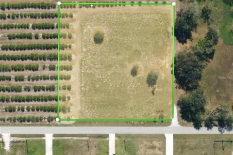 Land in Wauchula, Florida № 1900169 - photo 1