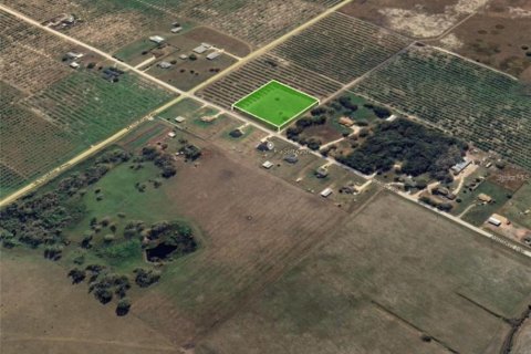 Land in Wauchula, Florida № 1900169 - photo 4