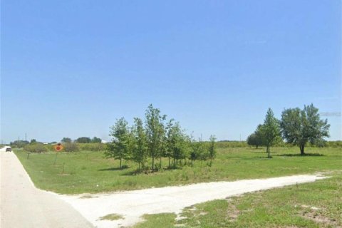 Land in Wauchula, Florida № 1900169 - photo 8