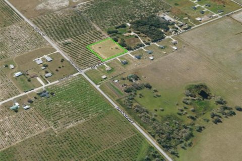 Land in Wauchula, Florida № 1900169 - photo 10