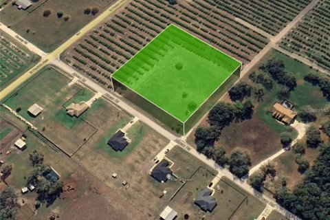 Land in Wauchula, Florida № 1900169 - photo 2