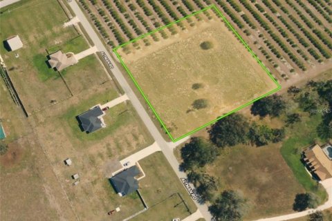 Land in Wauchula, Florida № 1900169 - photo 6