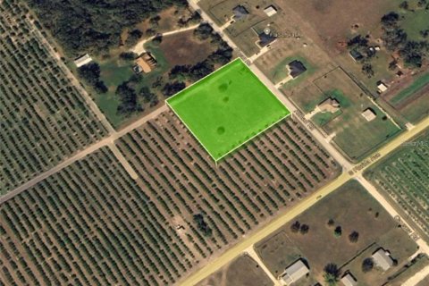 Land in Wauchula, Florida № 1900169 - photo 3