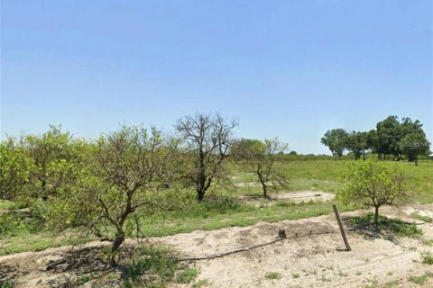 Land in Wauchula, Florida № 1900169 - photo 9