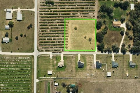 Land in Wauchula, Florida № 1900169 - photo 7