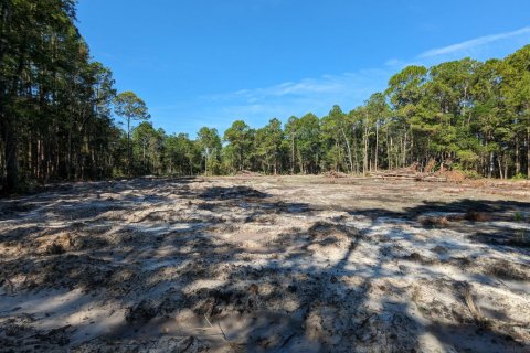 Land in Jacksonville, Florida № 773206 - photo 1