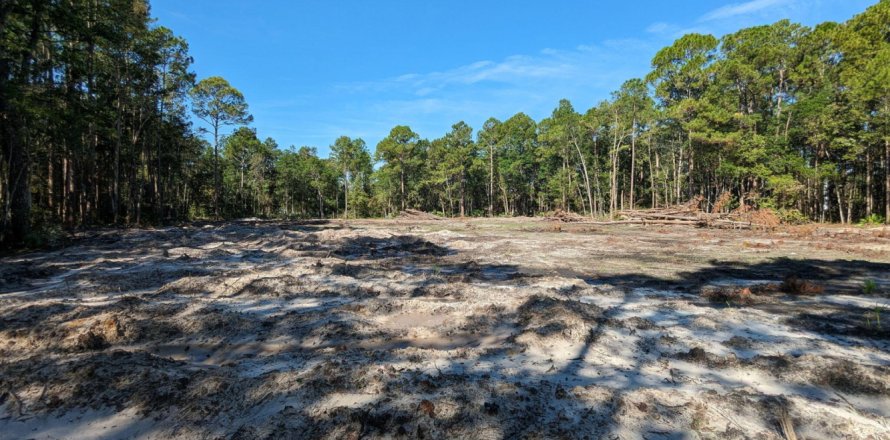 Land in Jacksonville, Florida № 773206