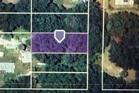 Land in Lake Panasoffkee, Florida № 2159796