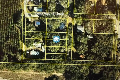 Land in Lake Panasoffkee, Florida № 2159796 - photo 2