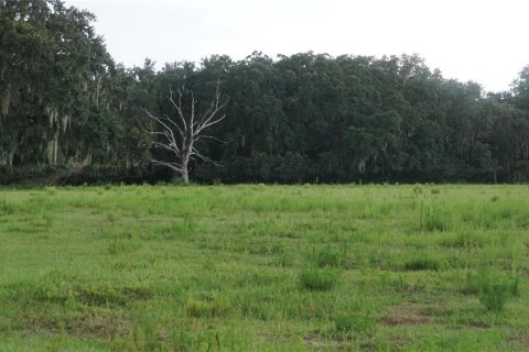 Land in Dover, Florida № 2136764