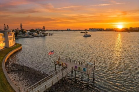 Condo in South Pasadena, Florida, 1 bedroom № 2099627