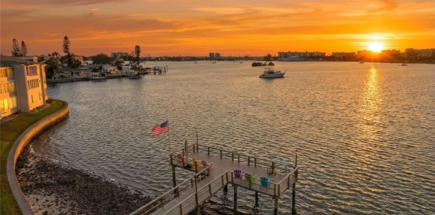Condo in South Pasadena, Florida, 1 bedroom № 2099627