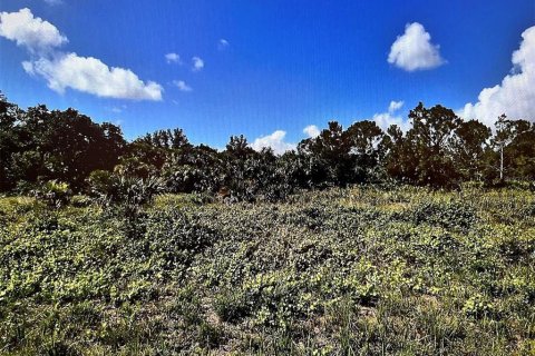 Land in North Port, Florida № 2160091 - photo 3