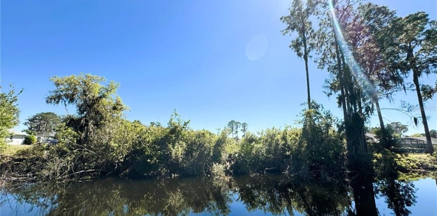 Terrain à Leesburg, Floride № 1613643