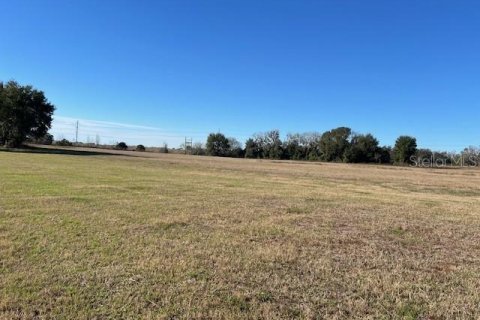 Land in Anthony, Florida № 1817497 - photo 3