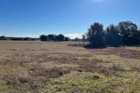 Land in Anthony, Florida № 1817497 - photo 2