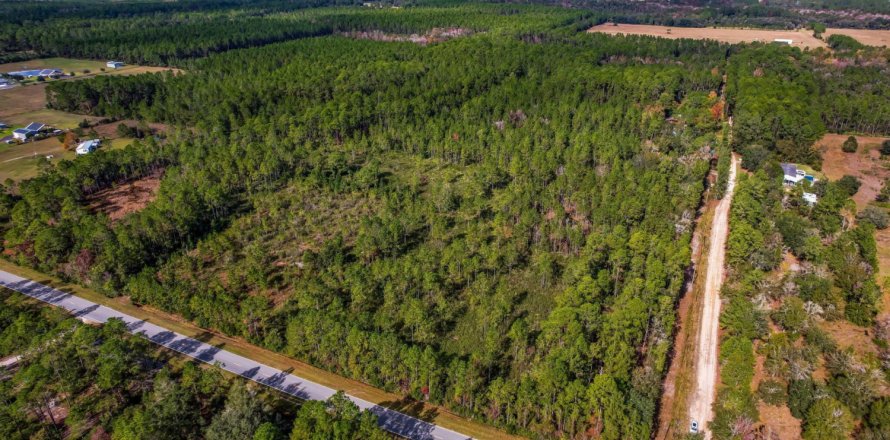 Terreno en Interlachen, Florida № 879988