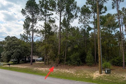 Land in Dunnellon, Florida № 2237803