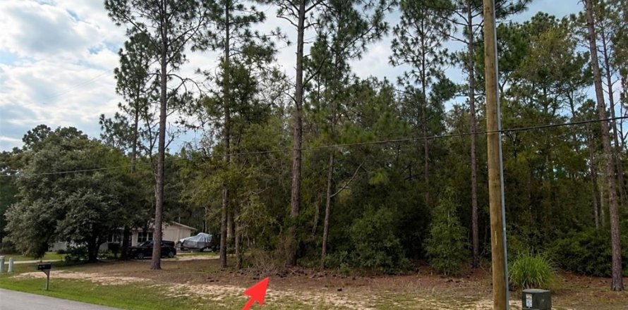 Terrain à Dunnellon, Floride № 2237803