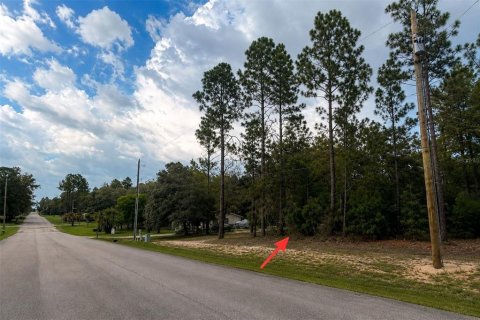 Terrain à vendre à Dunnellon, Floride № 2237803 - photo 4