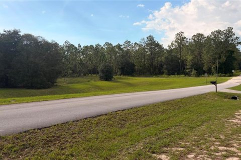Terrain à vendre à Dunnellon, Floride № 2237803 - photo 5