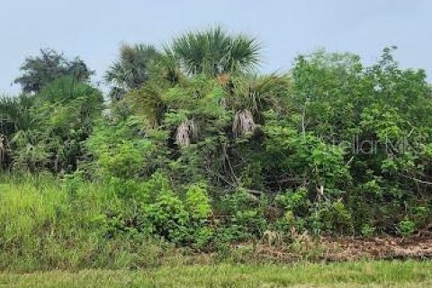 Land in Port Charlotte, Florida № 2164240 - photo 3